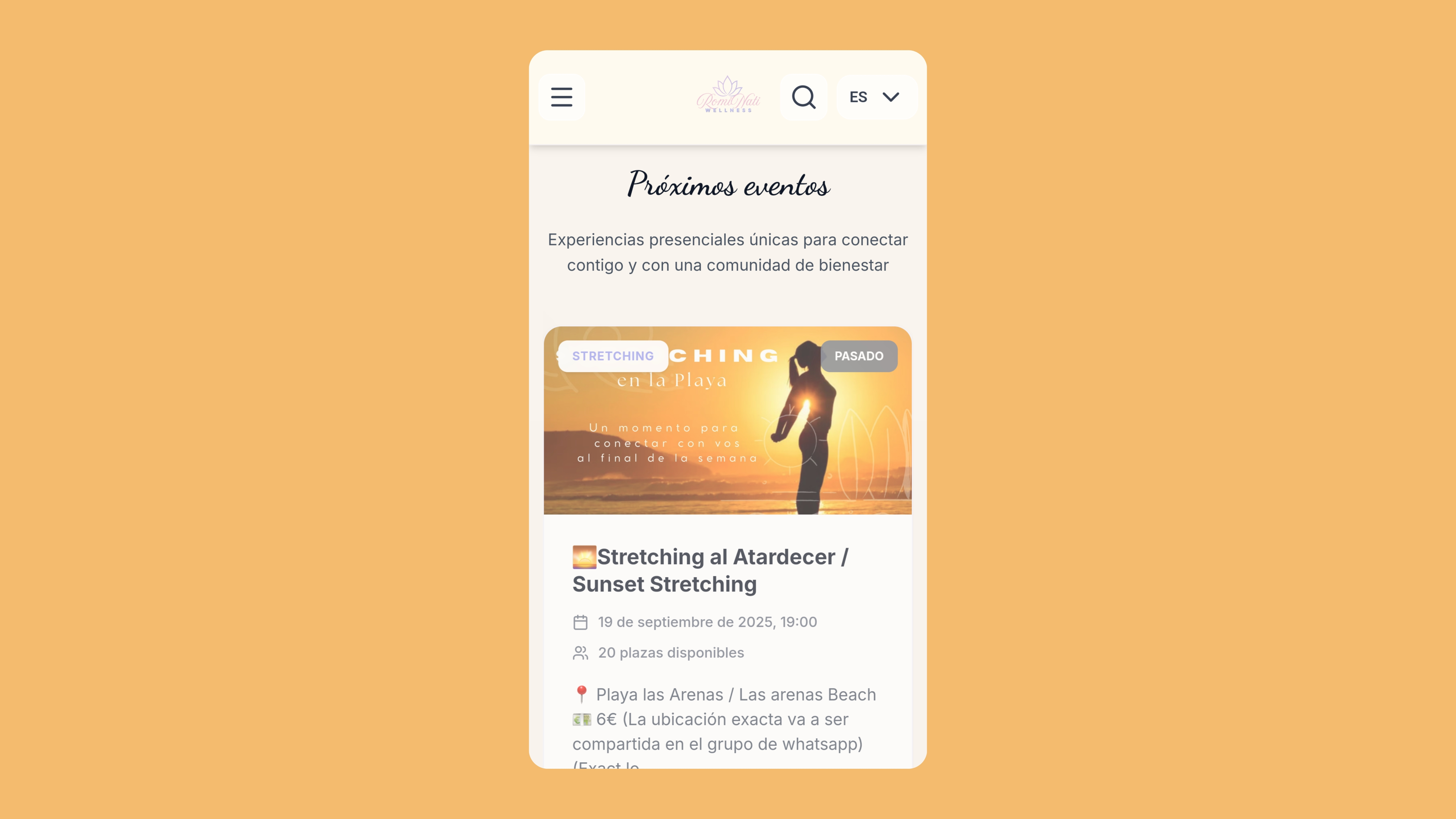 Romina Natalia Wellness — captura 3